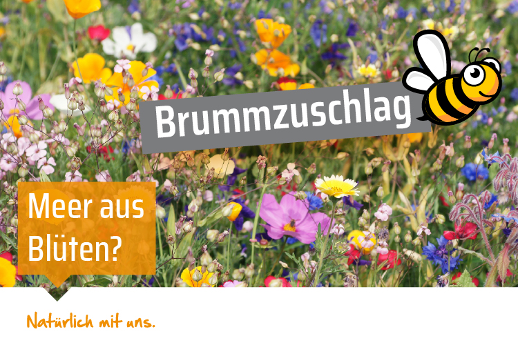 Brummzuschlag