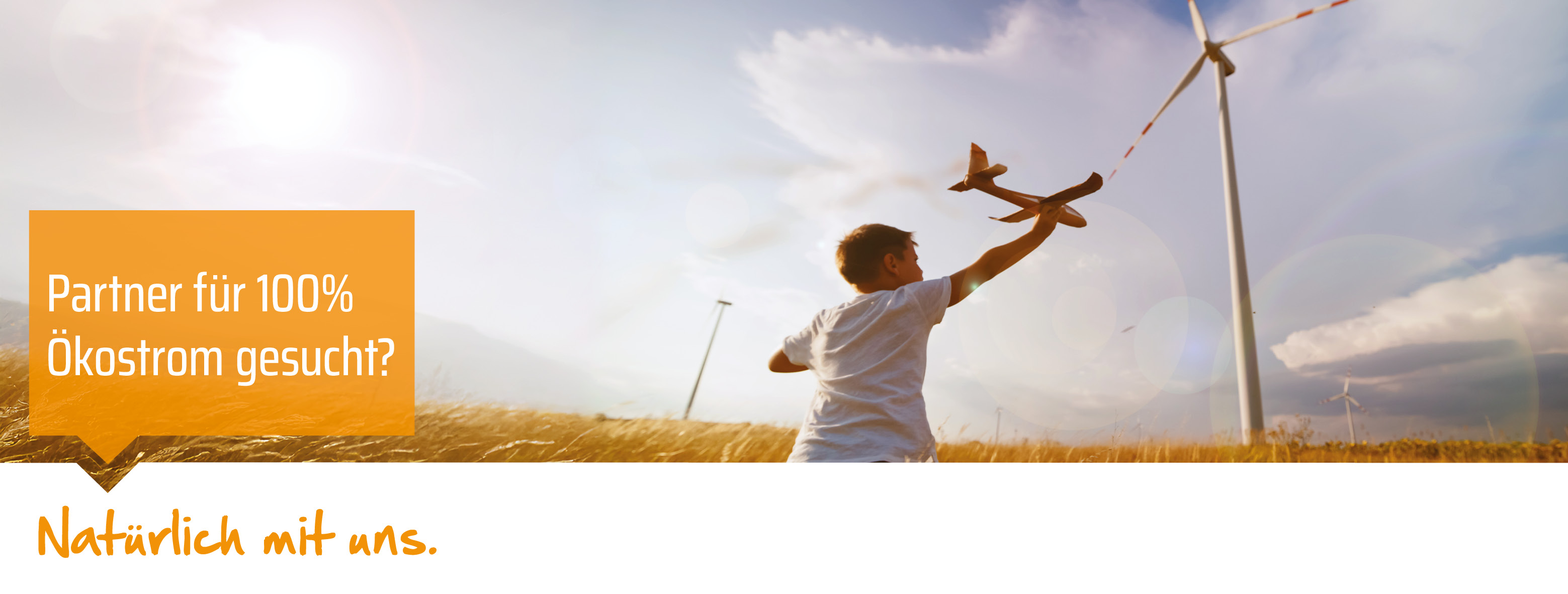 Teaser: Partner für 100% Ökostrom gesucht? Natürlich mit uns.