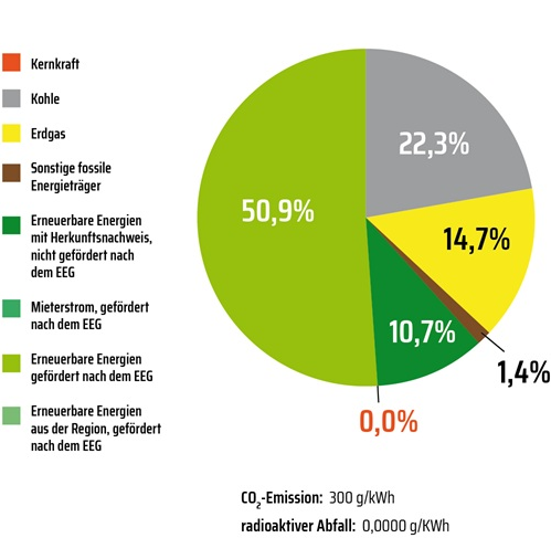 Bundesweiter Strommix 2025