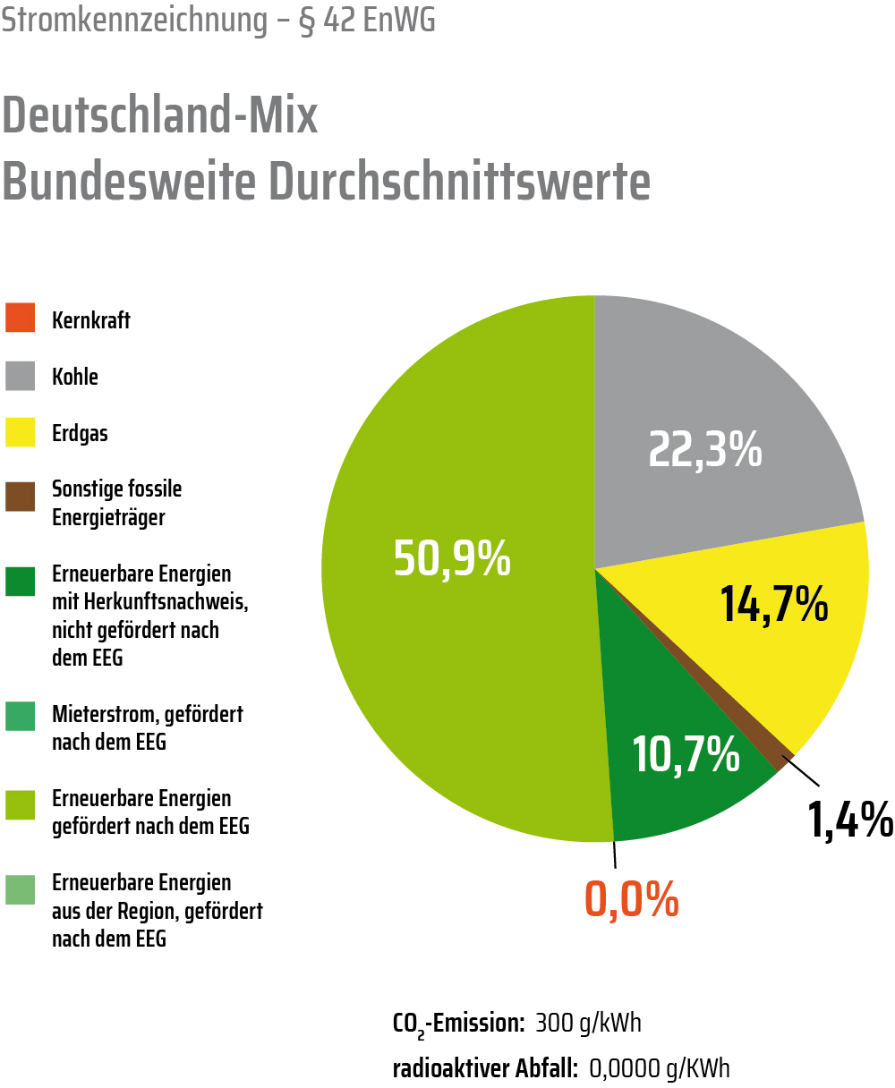 Bundesweiter Strommix 2025